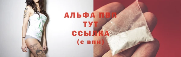 ECSTASY Осинники