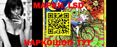 бошки Гай