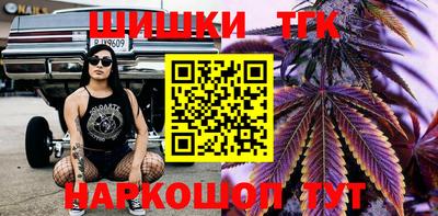 МДПВ Гатчина