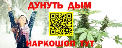 МДПВ Гатчина