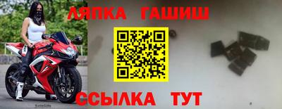 МДПВ Гатчина