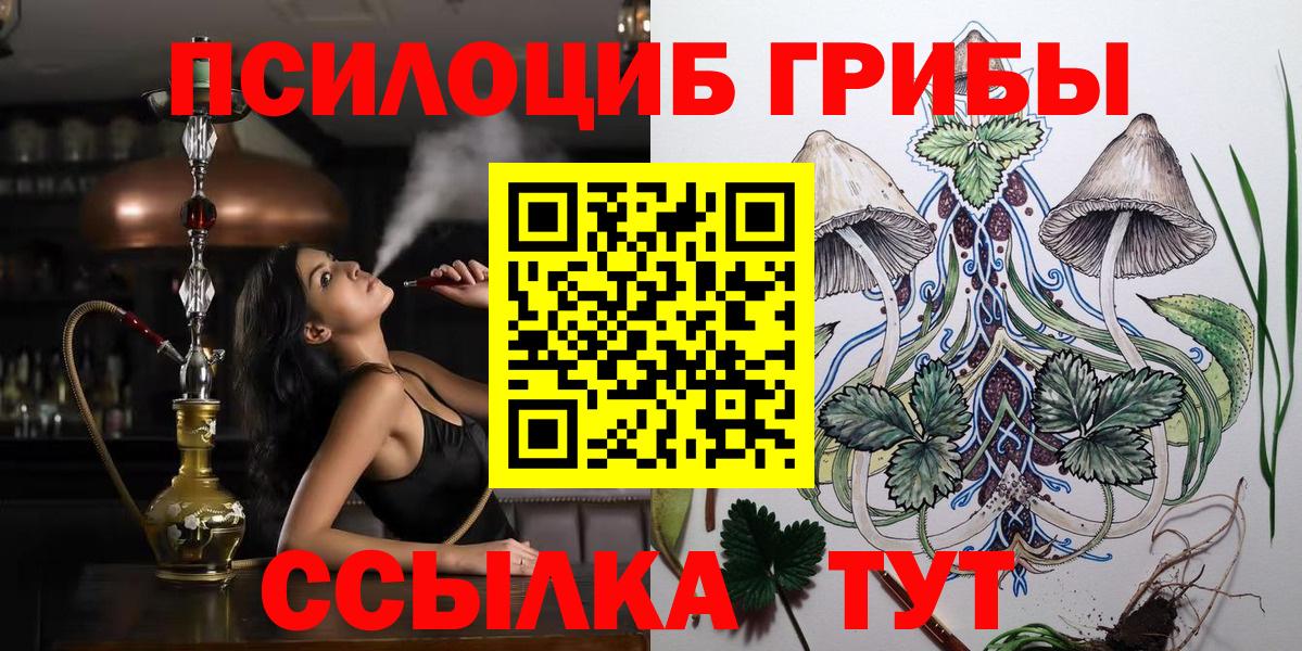 Боровичи  Псилоцибиновые грибы Psilocybe  Вход с VPN  Псилоцибиновые грибы Cubensis 